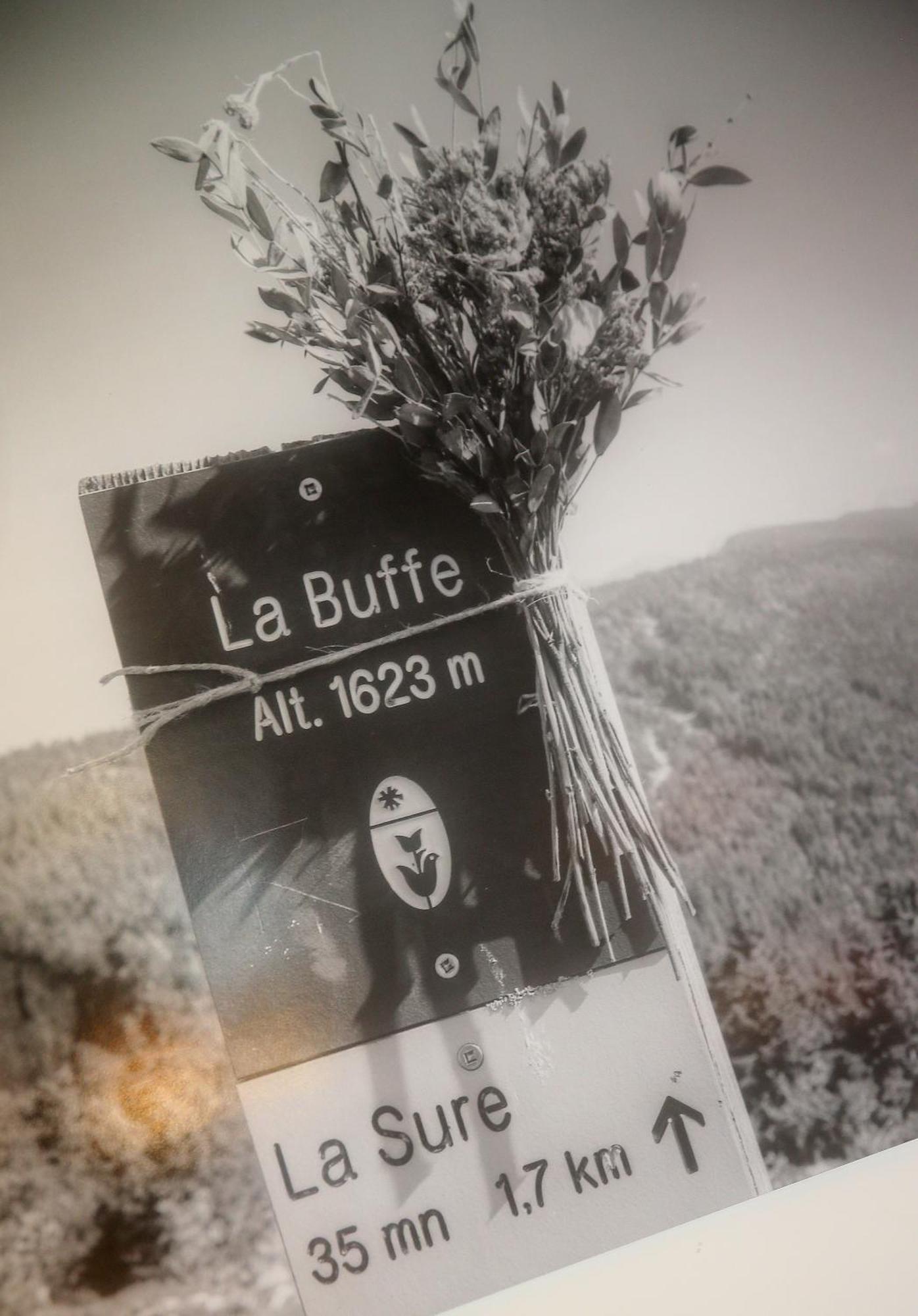 Hotel Restaurant La Buffe Autrans-Meaudre-en-Vercors Eksteriør bilde